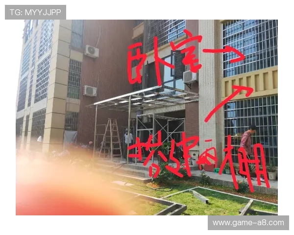 九游会地址2024年最新版本，详细介绍登录步骤与常见问题解决方案